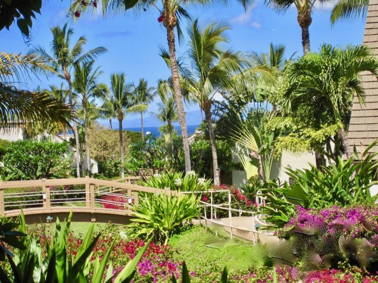 Condo  Wailea