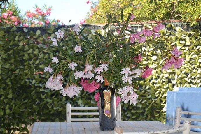 Bed & Breakfast Platamona