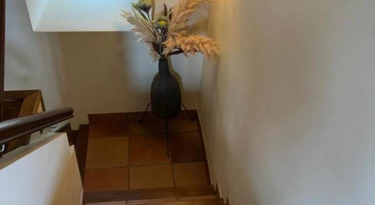 foto8