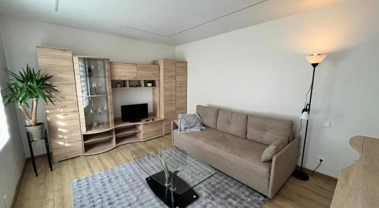 Rental apartment | Near Gate of Dawn | Dogs allowed — photo 2
