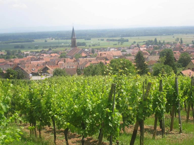 Maison de vacances Sélestat