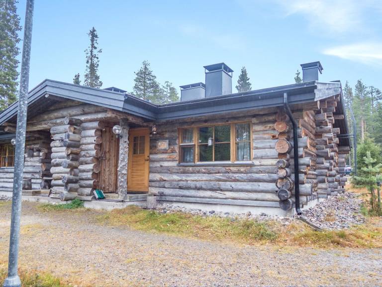 Vacation home with sauna — photo 3