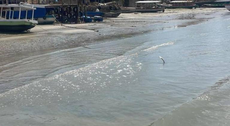 House  Praia de Stella Maris