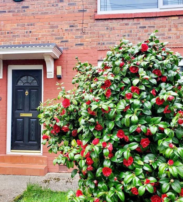 Ferienhaus  Salford