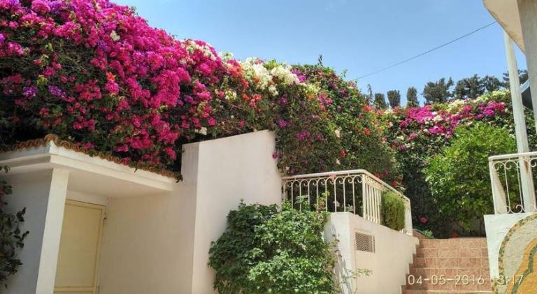 Charming villa | Pet-friendly in Dakhla
