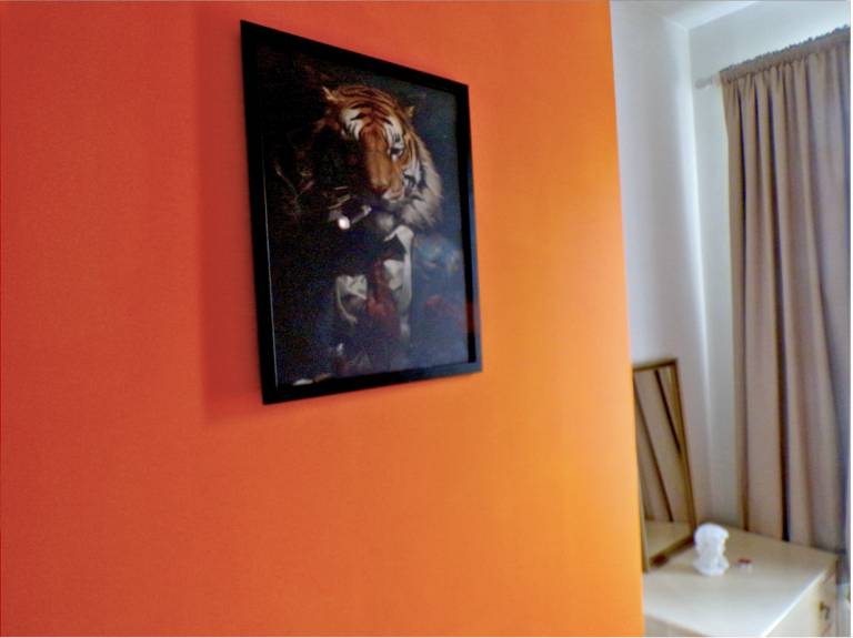 foto15