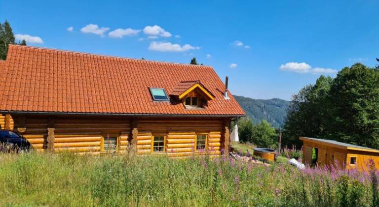 Vacation home with hot tub & sauna in Feldberg