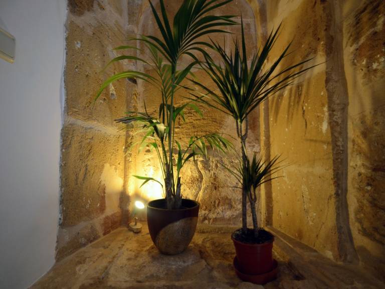 foto24