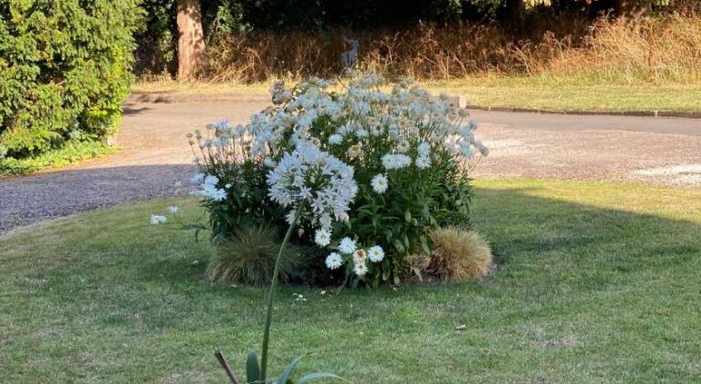foto46