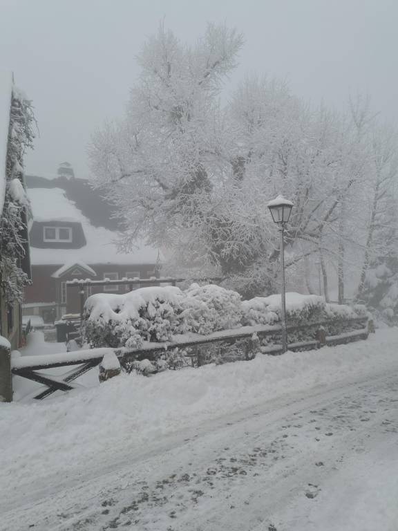 foto2