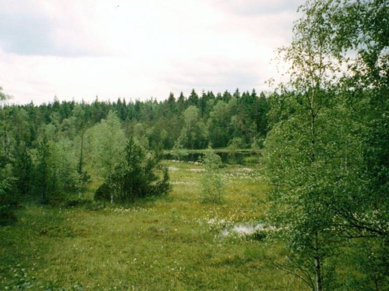 foto10