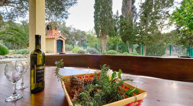 Pleasant vacation home | Pets allowed — photo 4