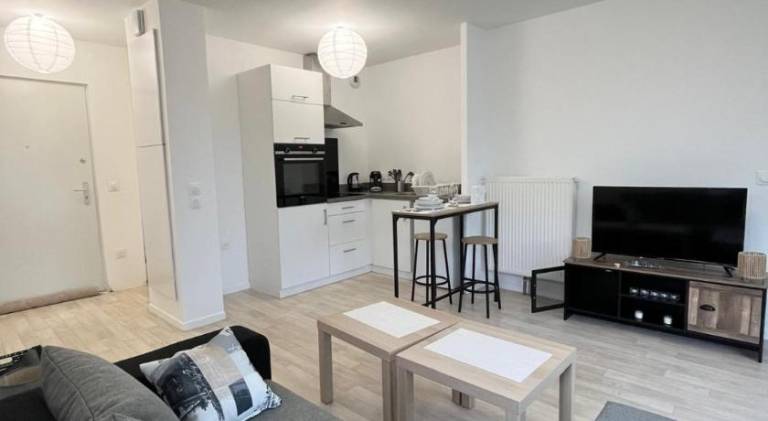 Apartment with yard & terrace in Roubaix