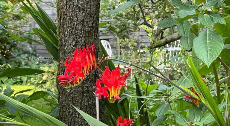 foto11