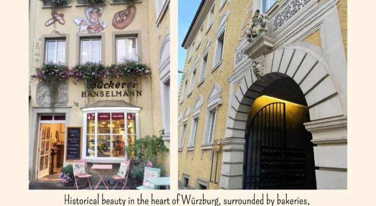 Pleasant rental apartment | Next to Würzburg Residence | Dogs allowed — photo 4