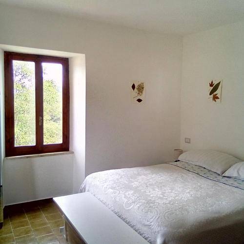 foto20