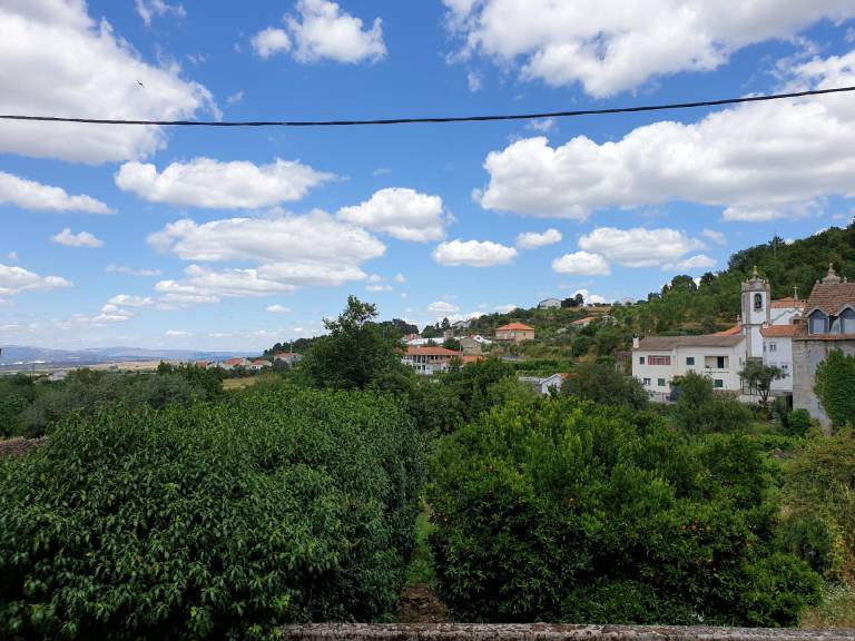 foto35