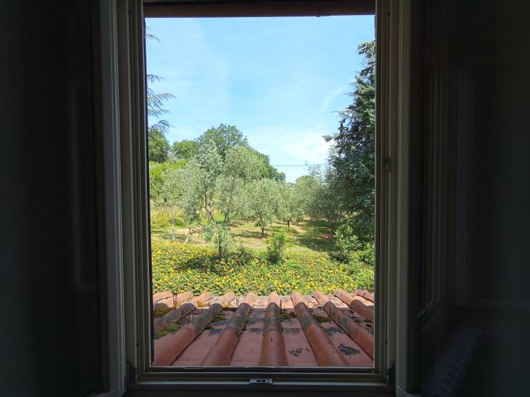 foto14