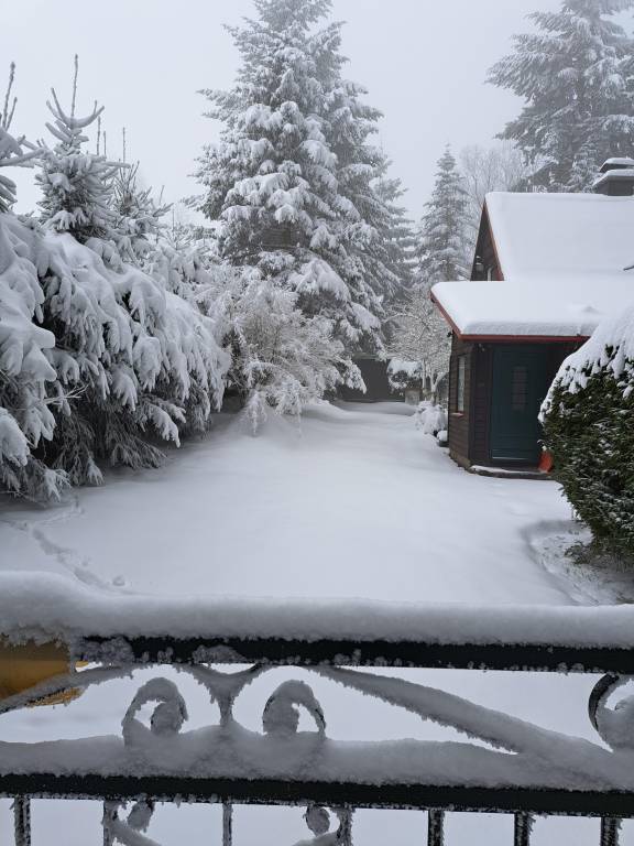 foto4