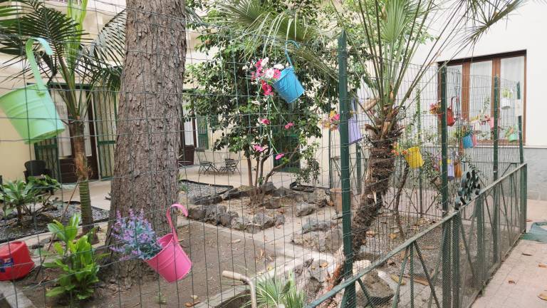 Family-friendly rental apartment with garden | Next to Bellini Garden | Garden view | Pet-friendly — photo 4
