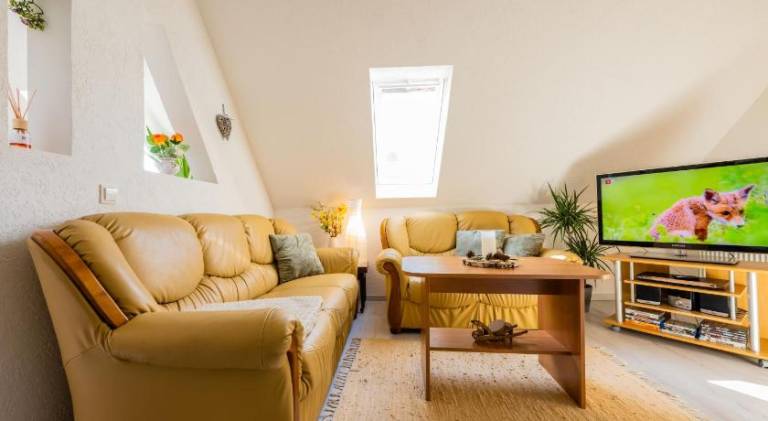 Rental apartment with 2 rooms for 6 persons in Dresden