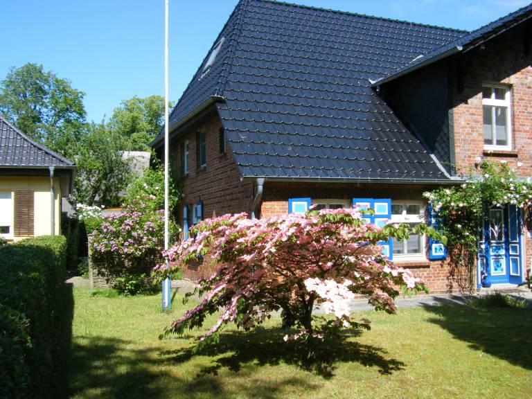 foto9