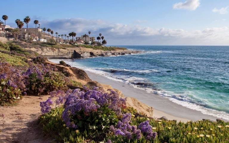 Condo Carlsbad