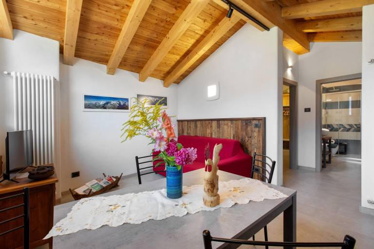 Apartment with fast internet | City view | Pets are welcome — photo 4