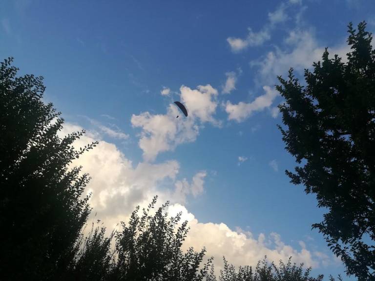 foto46