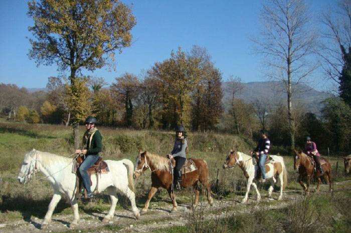 foto12