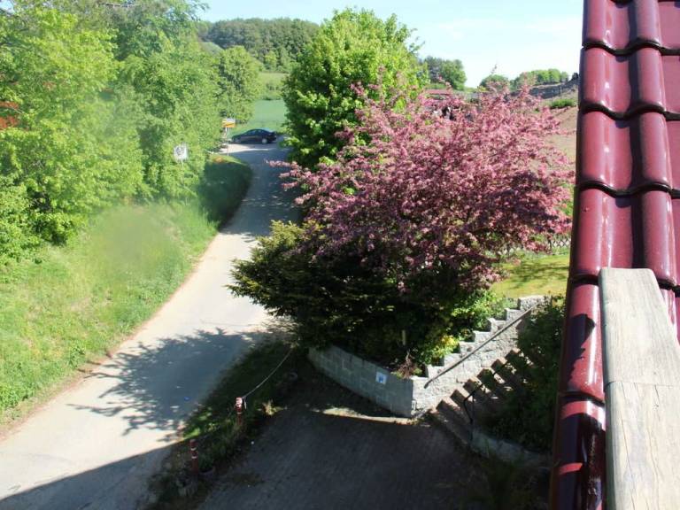 foto16