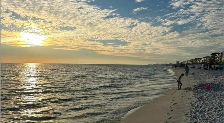 Big house | Dogs allowed in Miramar Beach, FL