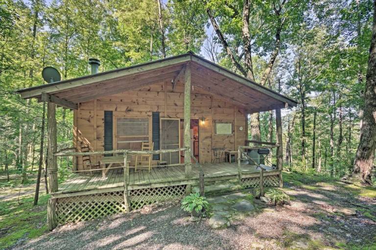 Cabin  Ivy