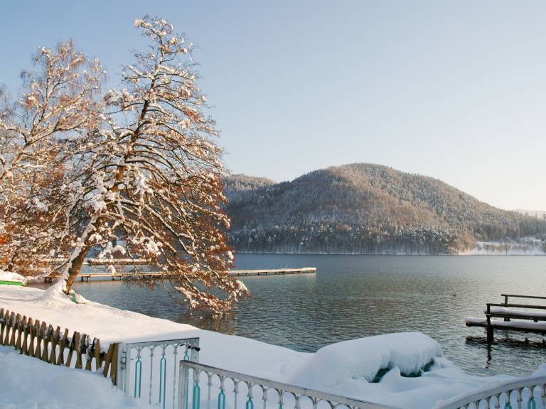 Ferienwohnung  Klopeiner See