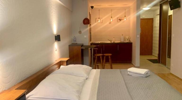 Holiday apartment | Pets are welcome in Krynica-Zdroj