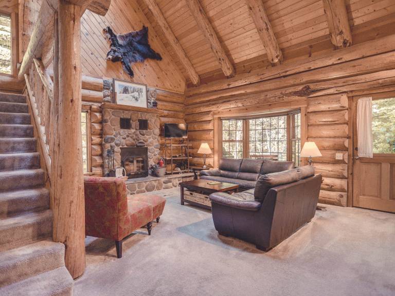 Bear Den Log Cabin — photo 4