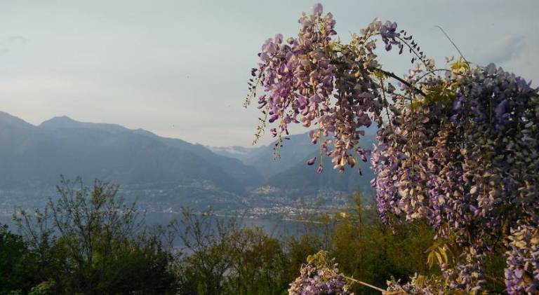 Fully equipped vacation home with pool, garden & terrace | Perfect for remote work | Dogs allowed in Ascona