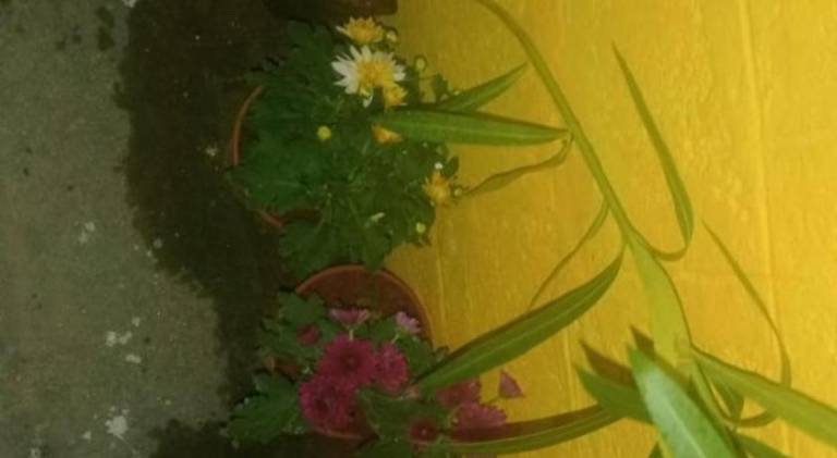 foto43