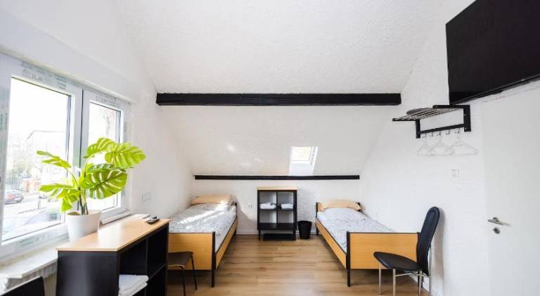 Apartment | Dogs allowed — photo 3