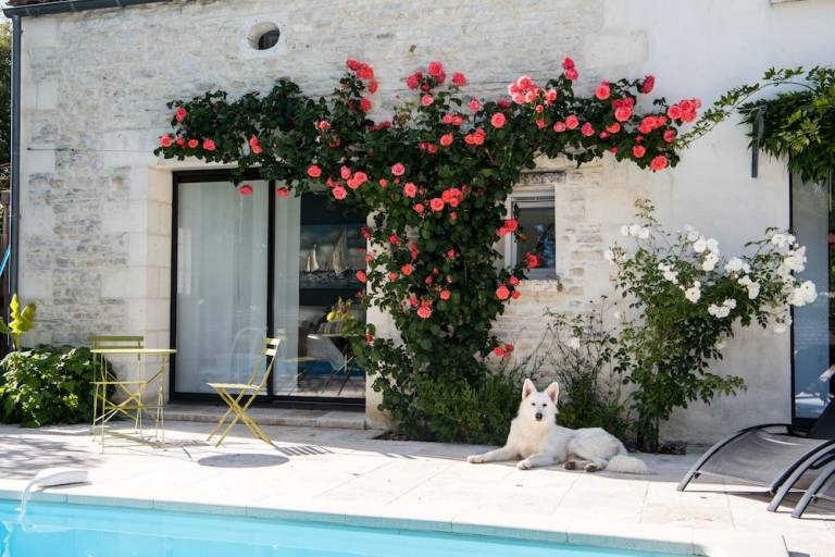 Logement Port-d'Envaux