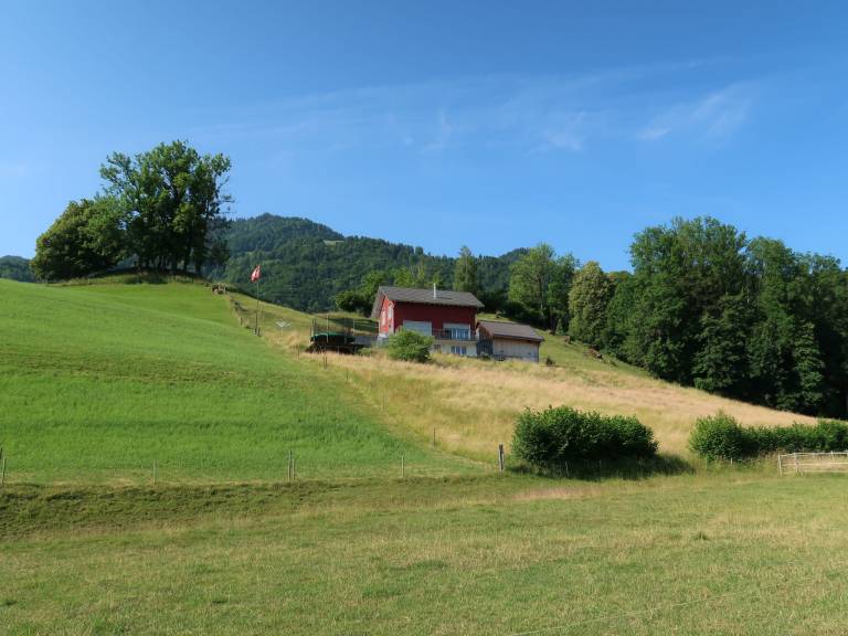 foto18