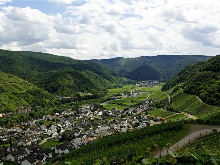 foto17