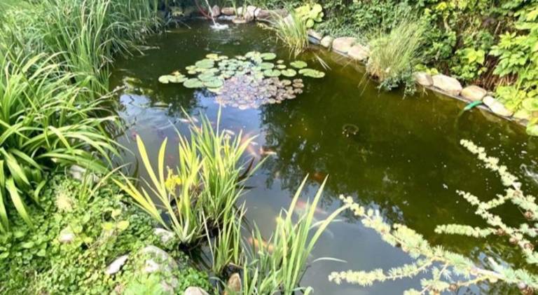 foto17