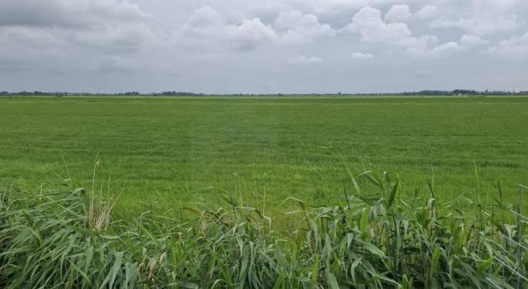 Chalet Julia Minicamping de Grutte Earen