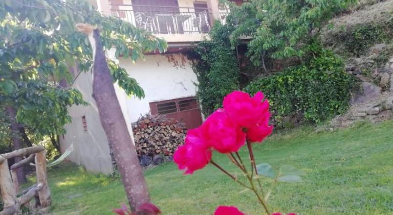 foto42