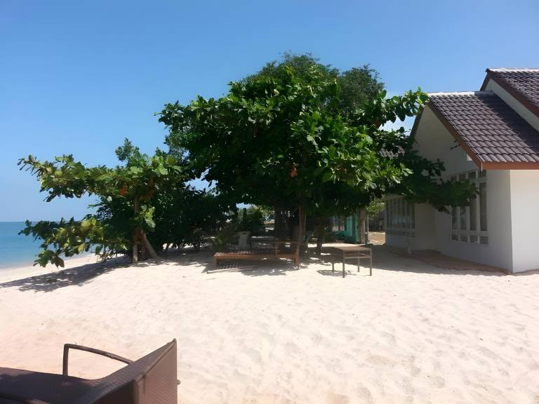 foto45