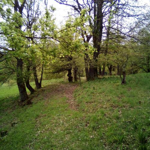 foto18