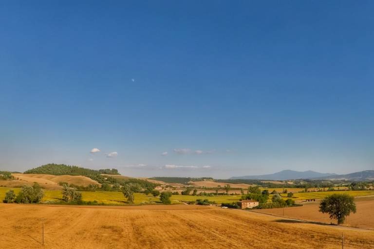foto41