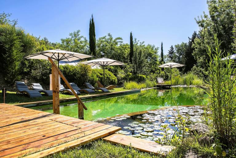 Luxury, Sustainability and Eco Pool in Forno Apt. — photo 4