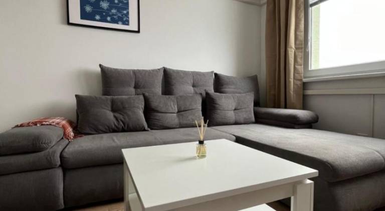 Beautiful rental apartment | Pets are welcome in Bratislava